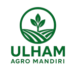 whatsapp image 2025 07 20 at 20.03.20 removebg preview